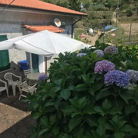 Ortensia Дом отдыха